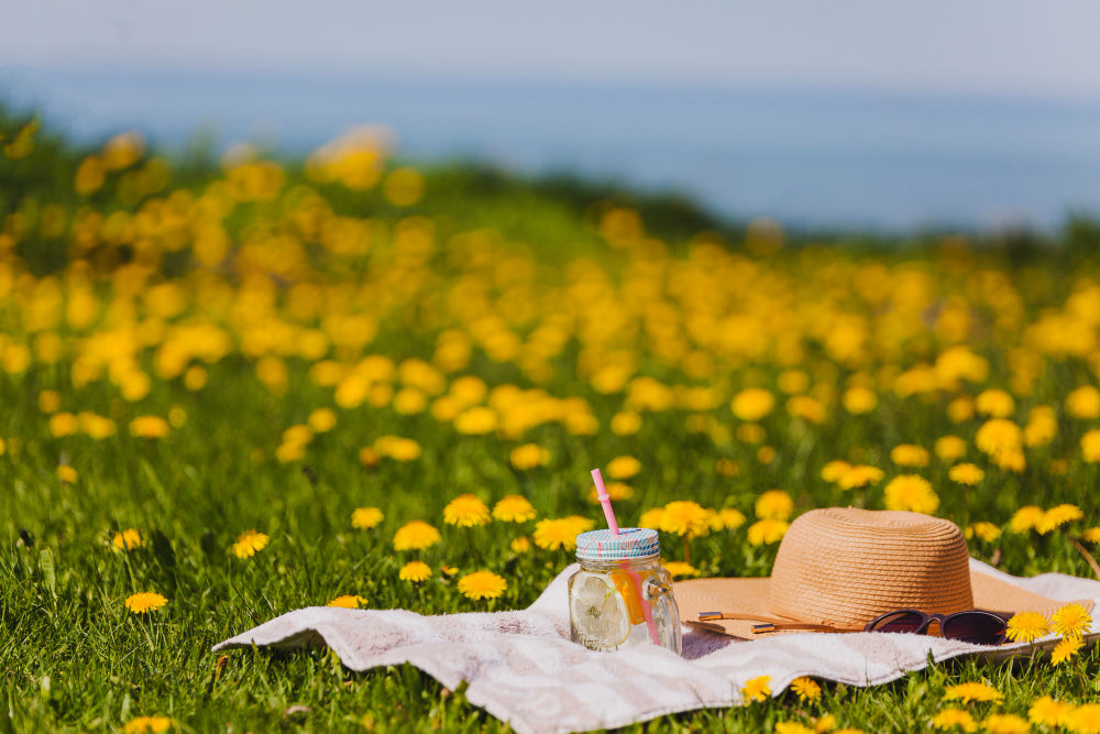 Den Perfekte Sommerferie i Danmark